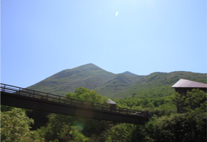 アンヌプリ登山道